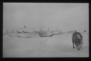 Image of Camp on ice with dog (Shipwreck Camp)